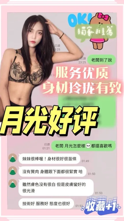 台南定點茶-月光/157/41/22/C