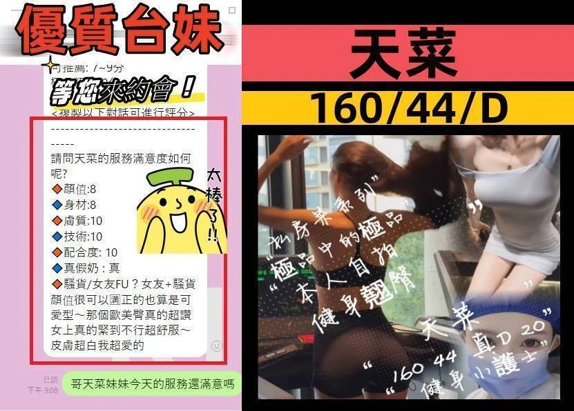 台中外送茶-天菜/160/44/20/D