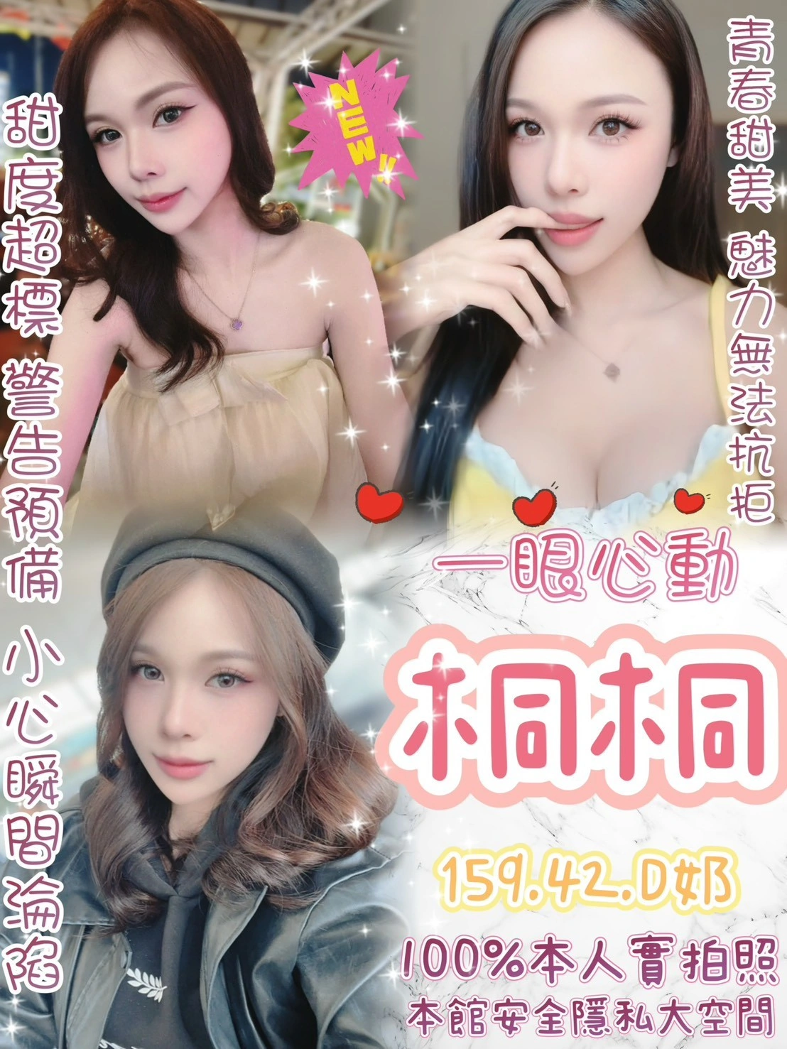 台北定點茶-桐桐/159/42/?/D 台北定點茶-桐桐/159/42/?/D